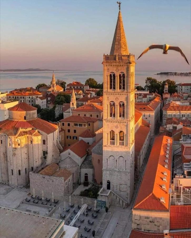 Luxury Apartment Zadar Old City Eksteriør billede